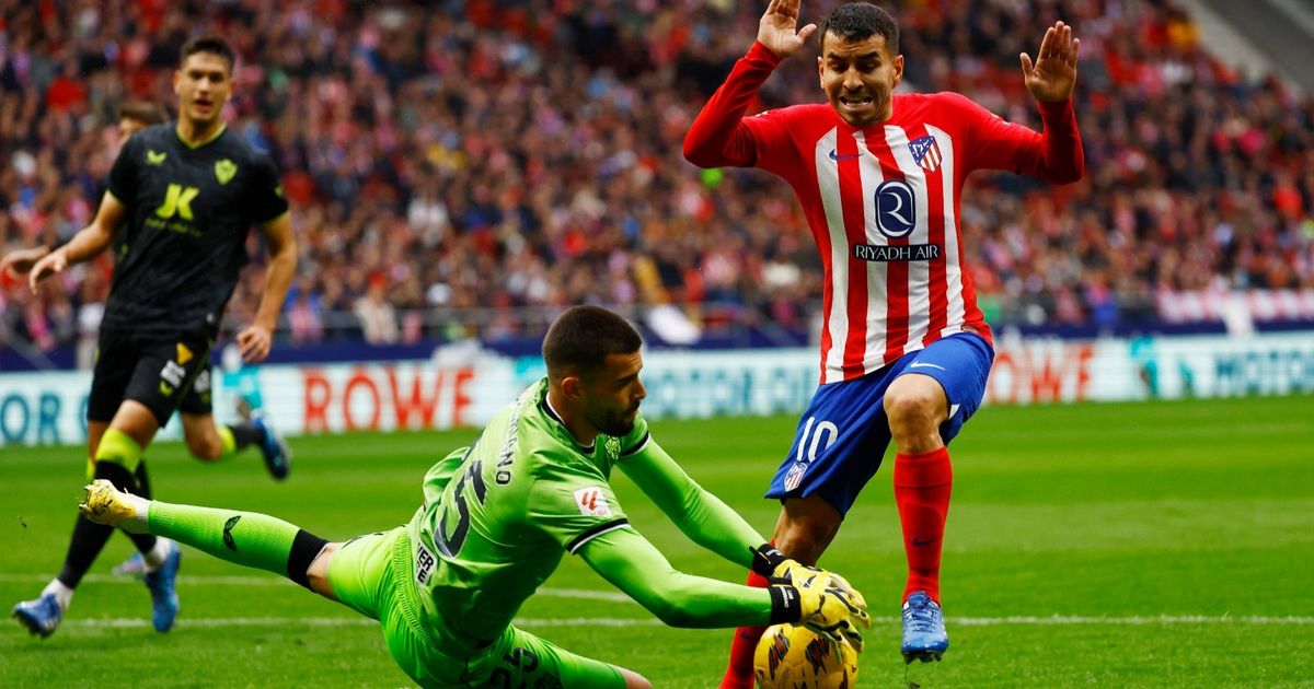 في الساعة الأخيرة.. نيوم يعوض بولكا المصاب بحارس برتغالي