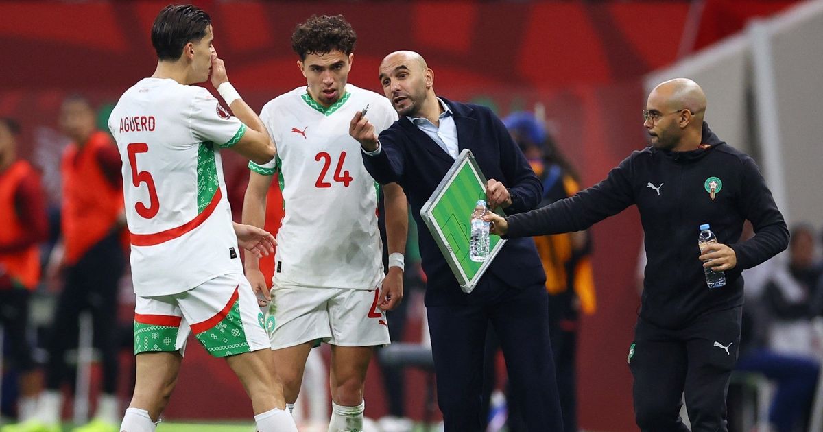 المغرب ينوي الاستعانة بـ"بطل العالم" لمساعدة الركراكي في المونديال