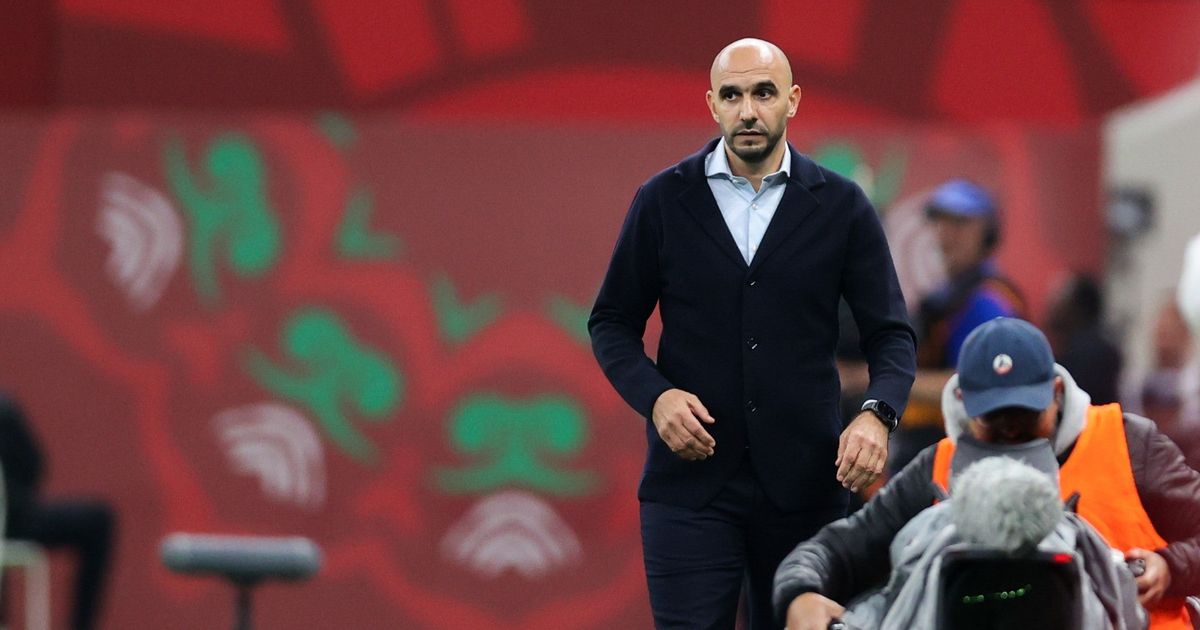 الركراكي: يجب أن تتعلم الكرة العربية من تجربة حسام حسن ومصر