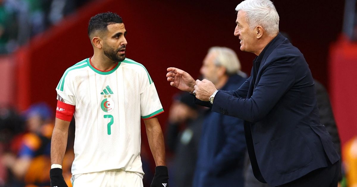 خطوة جريئة من الجزائر مع بيتكوفيتش قبل أيام من انطلاق كأس العالم