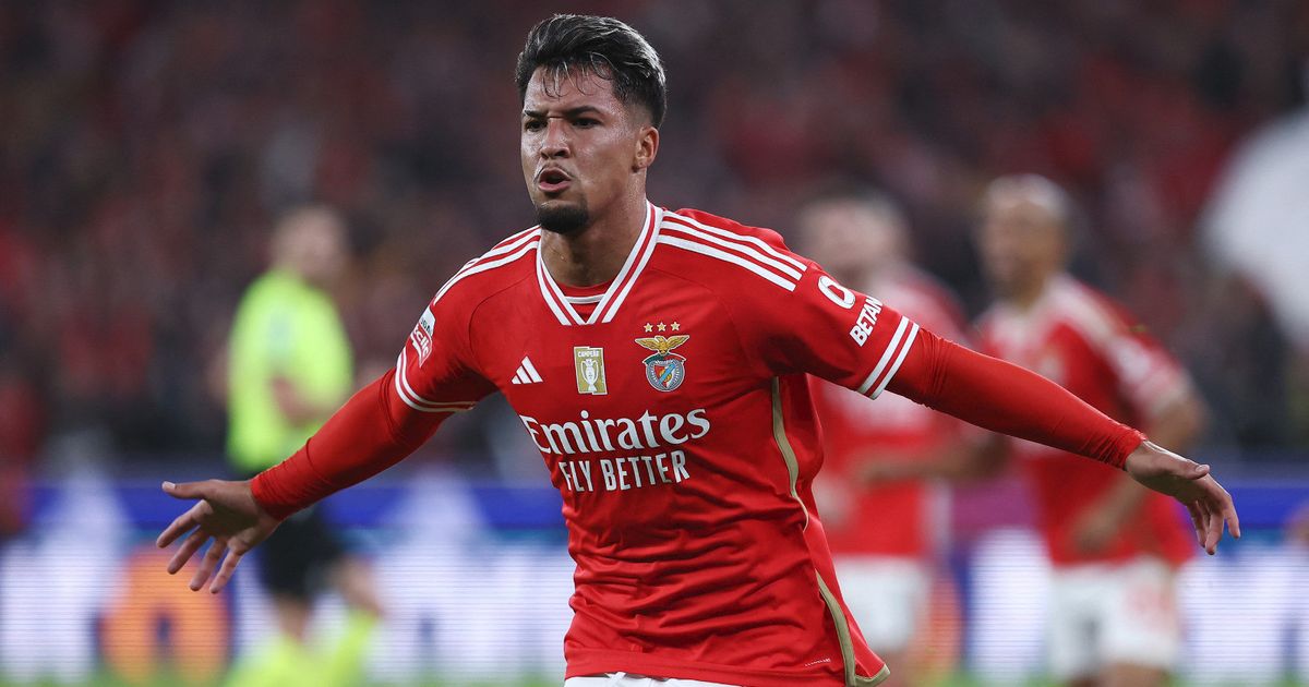 "عرض رسمي" من الهلال السعودي لضمّ مهاجم بنفيكا