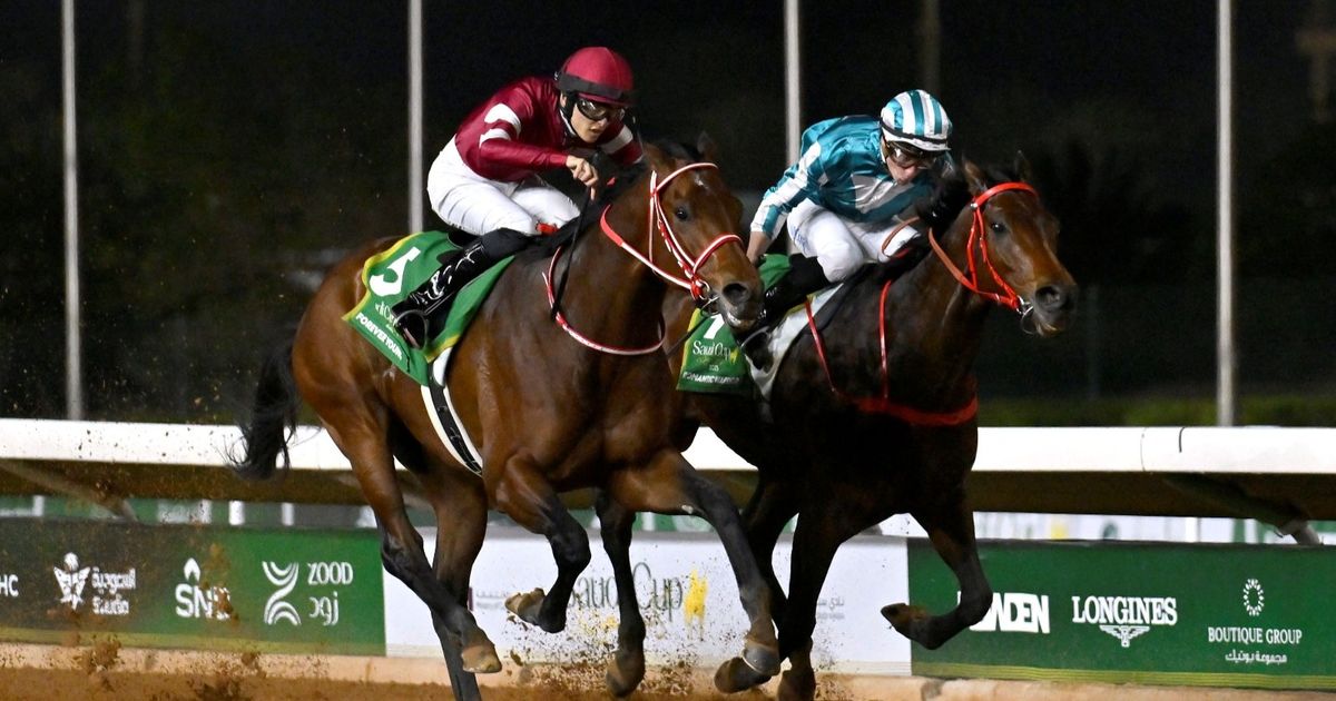 جوائز ضخمة ومشاركة عالمية في "كأس السعودية" لأغلى سباق للخيل في العالم