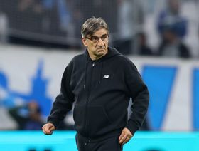 تعيين يوريتش مدرباً لمونزا الصاعد حديثاً للدوري الإيطالي