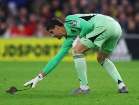 جرذ يراوغ تيبو كورتوا ويوقف مؤقتاً مباراة ويلز وبلجيكا