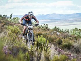 لويس إنريكي يتعرض لحادث درّاجة وسيخضع لعملية جراحية