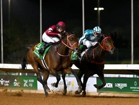 جوائز ضخمة ومشاركة عالمية في "كأس السعودية" لأغلى سباق للخيل في العالم