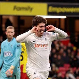 سوانزي ينتظر خدمات "سنوب دوغ" للعودة إلى دوري الأضواء