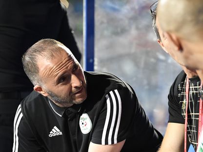 مدرب الجزائر جمال بلماضي في حديث مع مساعديه في كأس إفريقيا الأخيرة - AFP