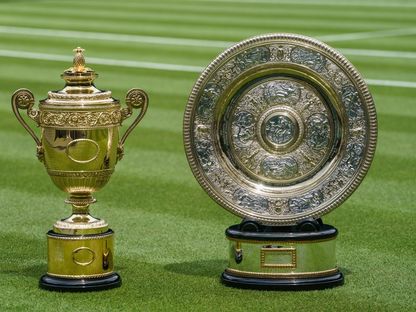كأسا بطولة ويمبلدون للتنس للسيدات (يمين) والرجال - wimbledon.com