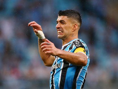 لويس سواريز مهاجم منتخب الأوروغواي وغريميو في مباراة فريقه أمام كورينثيانز - 12 نوفمبر 2023 - Reuters
