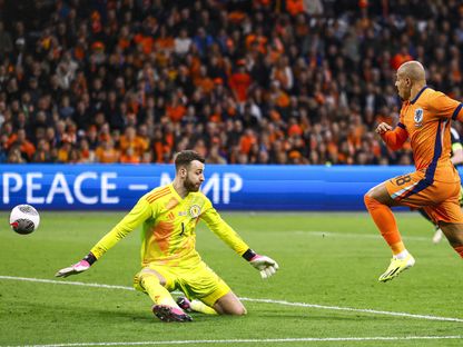 دونيل مالين يسجل هدفاً لهولندا في مرمى اسكتلندا بمباراة ودية - 22 مارس 2024 - AFP