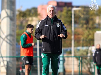 فلاديمير بيتكوفيتش مدرب منتخب الجزائر خلال كأس أمم إفريقيا 2025 - 23 ديسمبر 2025 - X/@LesVerts