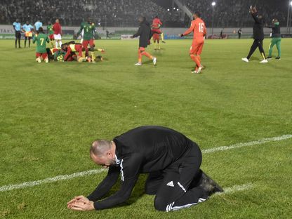 حسرة جمال بلماضي المدير الفني للجزائر واحتفال لاعبي الكاميرون بالهدف القاتل - AFP