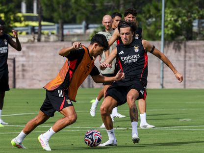 ألفارو كاريراس خلال تدريب لبنفيكا في الولايات المتحدة قبل افتتاح كأس العالم للأندية - 13 يونيو 2025 - X/@SLBenfica