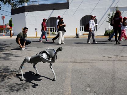 كأس العالم 2026.. المكسيك تنشر كلاباً آلية لتعزيز الأمن