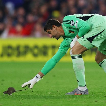 جرذ يراوغ تيبو كورتوا ويوقف مؤقتاً مباراة ويلز وبلجيكا