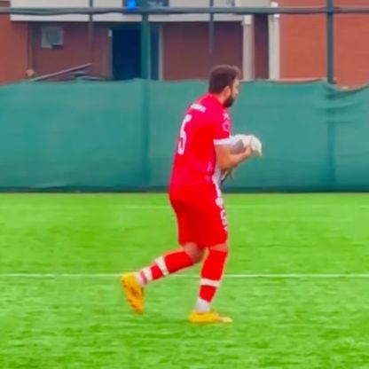 لاعب ينعش قلب طائر نورس أصابته الكرة في مباراة بتركيا