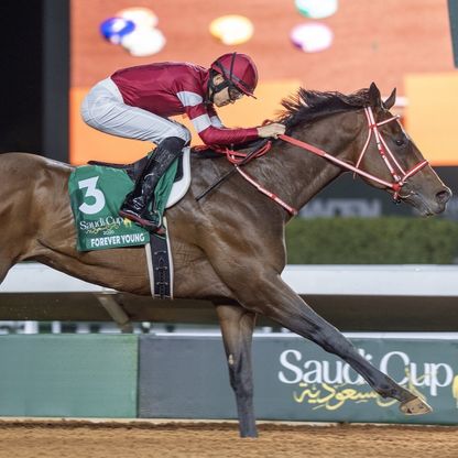 "فور إيفر يانغ" يحتفظ بلقب كأس السعودية للخيول