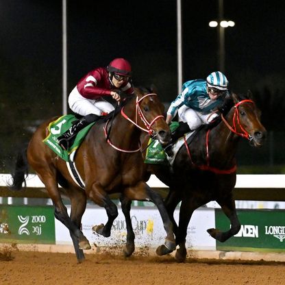 جوائز ضخمة ومشاركة عالمية في "كأس السعودية" لأغلى سباق للخيل في العالم