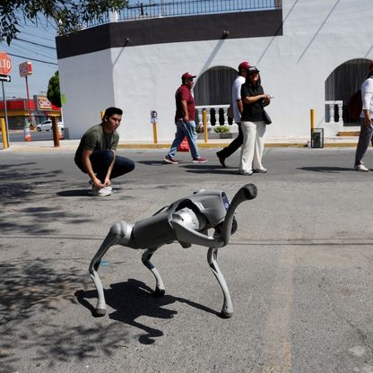 كأس العالم 2026.. المكسيك تنشر كلاباً آلية لتعزيز الأمن