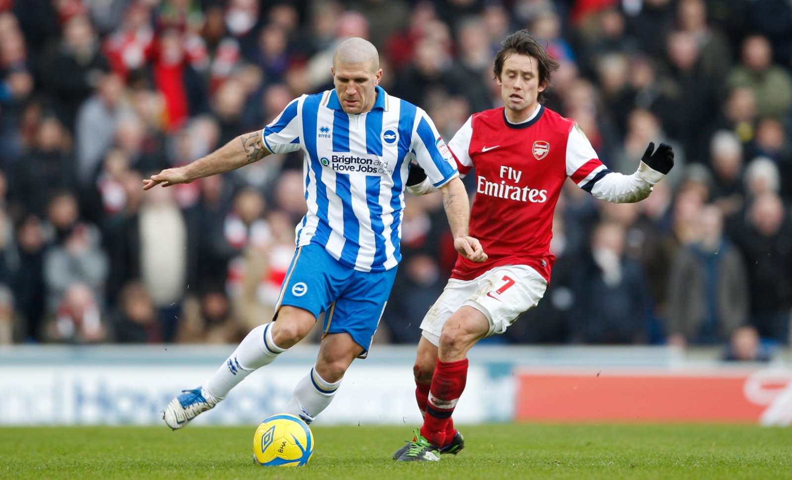 آدم العبد مدافع برايتون في صراع مع توماس روزيسكي لاعب أرسنال - 26 يناير 2013