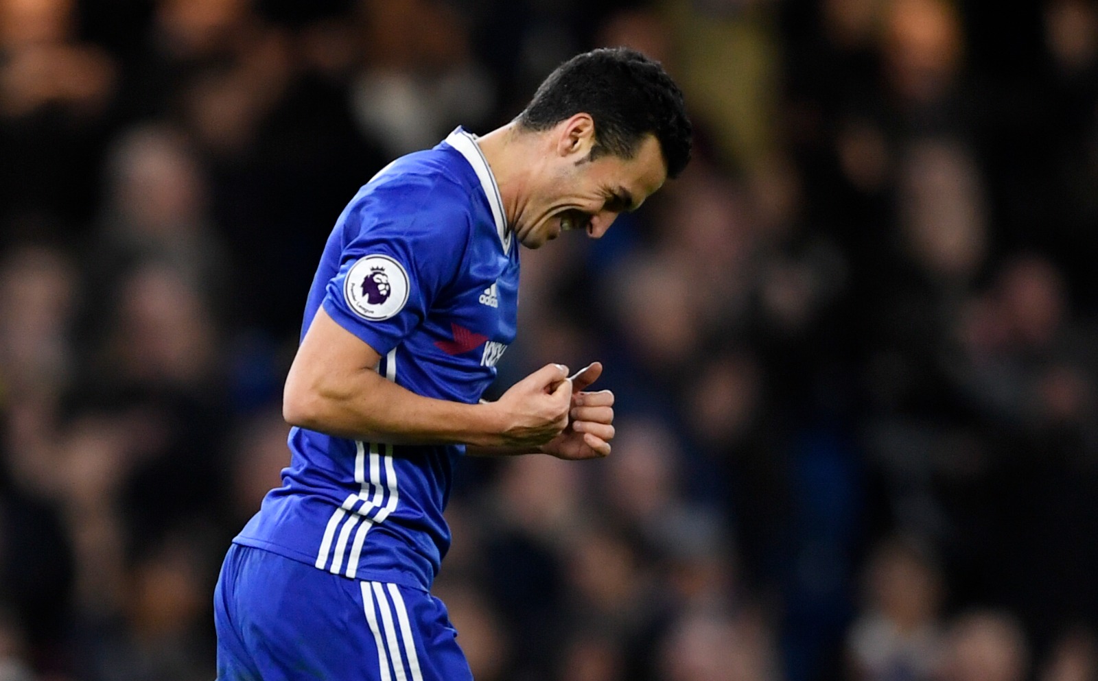 اللاعب الإسباني السابق بيدرو رودريغيز يحتفل بأحد أهدافه مع فريق تشيلسي الإنجليزي - 26 ديسمبر 2016