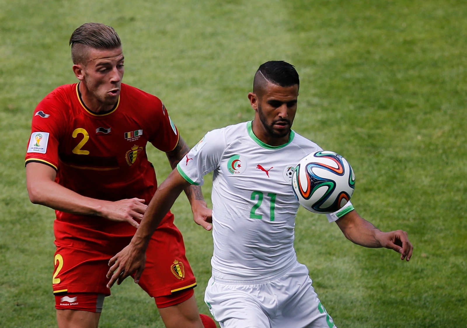 رياض محرز خلال مباراة الجزائر وبلجيكا بكأس العالم 2014 - 17 يونيو 2014