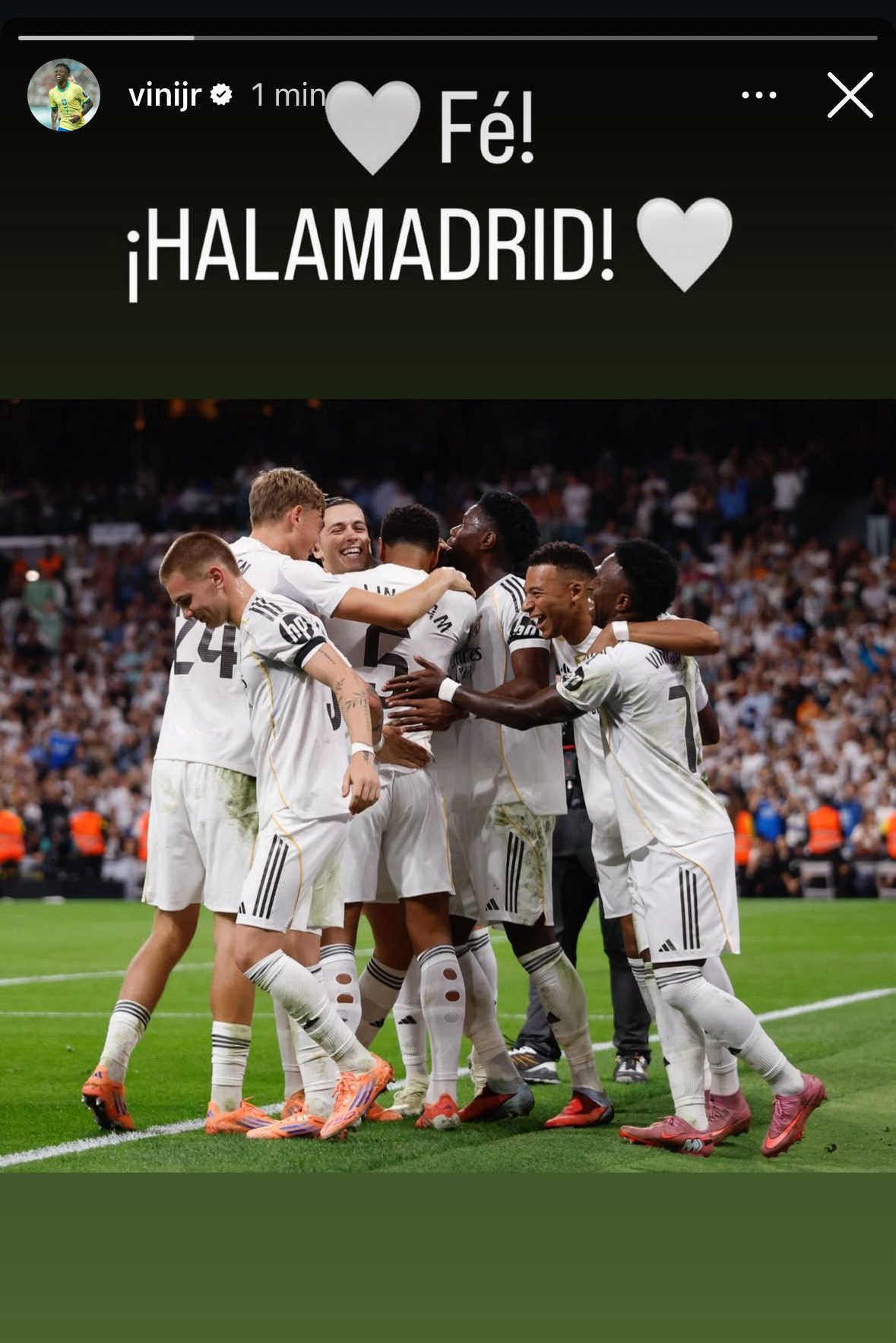 منشور لفينيسيوس على 